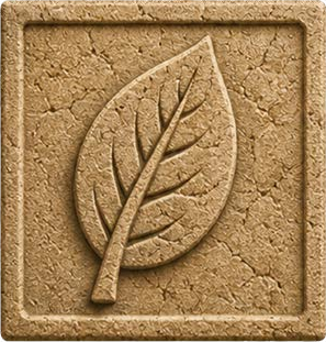 Environmental & Climate Governance