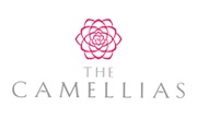 DLF Camellias